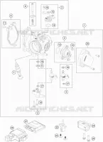 THROTTLE BODY