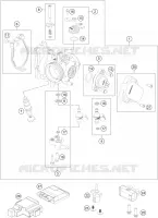 THROTTLE BODY