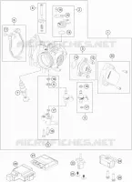 THROTTLE BODY