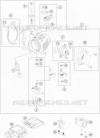 THROTTLE BODY