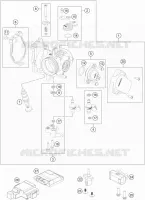 THROTTLE BODY