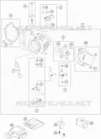 THROTTLE BODY