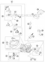 THROTTLE BODY