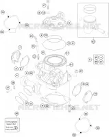 CYLINDER / HEAD