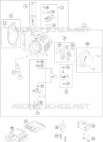 THROTTLE BODY