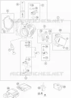 THROTTLE BODY