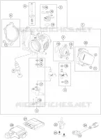 THROTTLE BODY