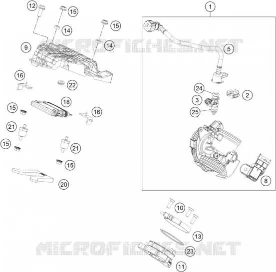 THROTTLE BODY